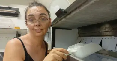 VIDÉO - La canicule a fait les affaires d'une productrice de glaçons en Vaucluse
