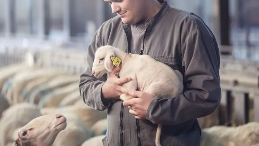 VIDÉO. "Mon cœur était pris par la maladie" : qui est Mathieu, 29 ans, agriculteur en Aveyron et à la recherche de l’âme sœur dans la saison 20 de l’Amour est dans le pré ?