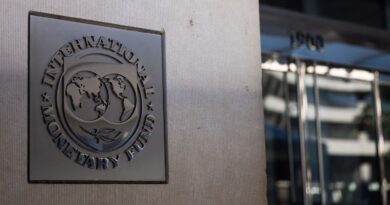 VRAI OU FAUX. Budget 2026 : la France risque-t-elle d'être placée sous la tutelle du FMI à cause de sa dette publique ?