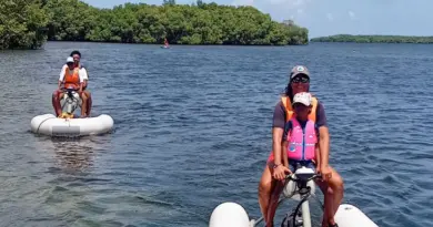 Vakans an chanjmandè : la mangrove s'offre à vous