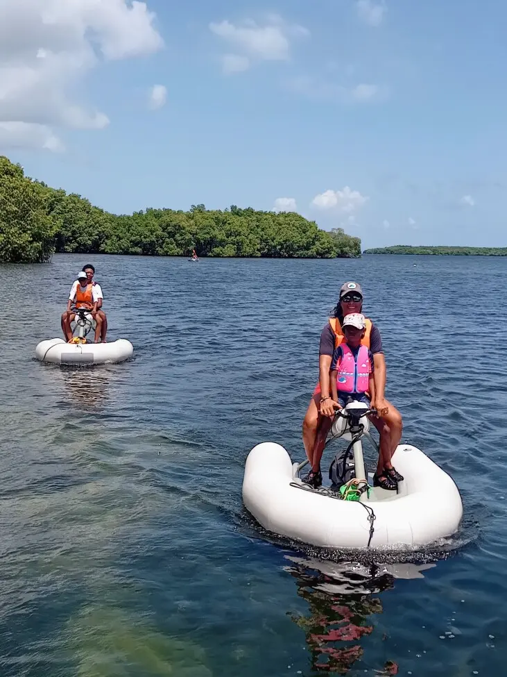 Vakans an chanjmandè : la mangrove s'offre à vous