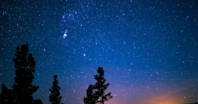 Valberg : le Festival Astro 2025 lève les yeux vers les étoiles