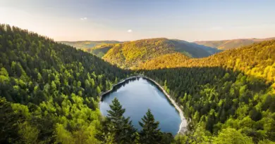 Vélo, ferme-auberge et brame de cerf : que faire à Gérardmer en famille ? - ici