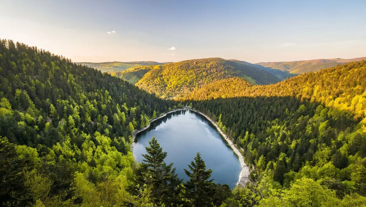 Vélo, ferme-auberge et brame de cerf : que faire à Gérardmer en famille ? - ici