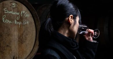 Vendanges : une baisse continue de la production sur fond d’évolution de la consommation