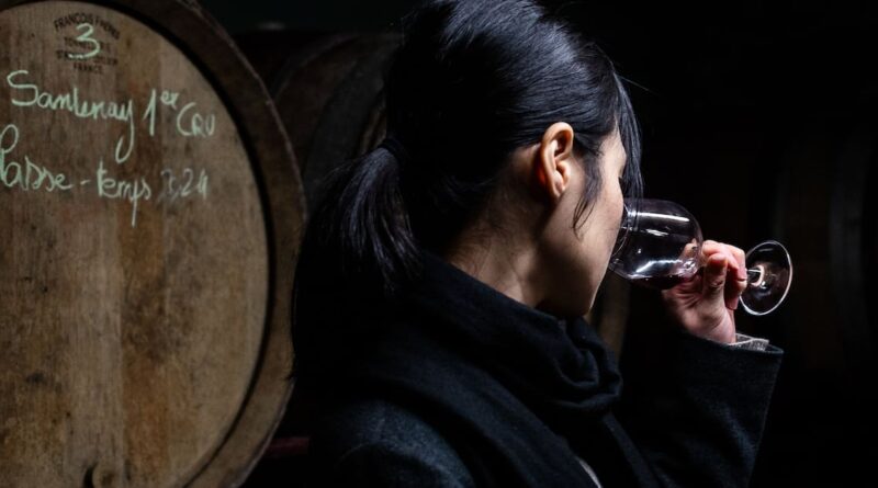 Vendanges : une baisse continue de la production sur fond d’évolution de la consommation