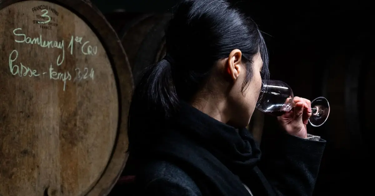 Vendanges : une baisse continue de la production sur fond d’évolution de la consommation