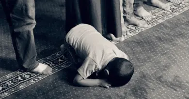 city,law,justice,community,military,spirituality,religion,ministry,government,media