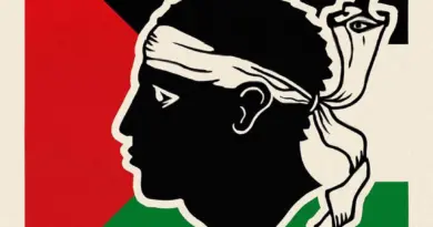 Vers une Corse Propalestinienne ?