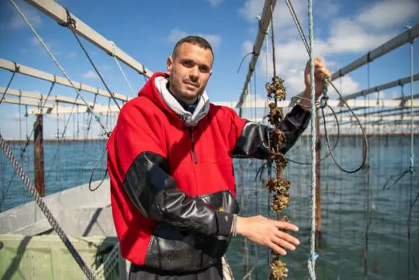 Cédric Kétani huître huîtres Camargue Carteau