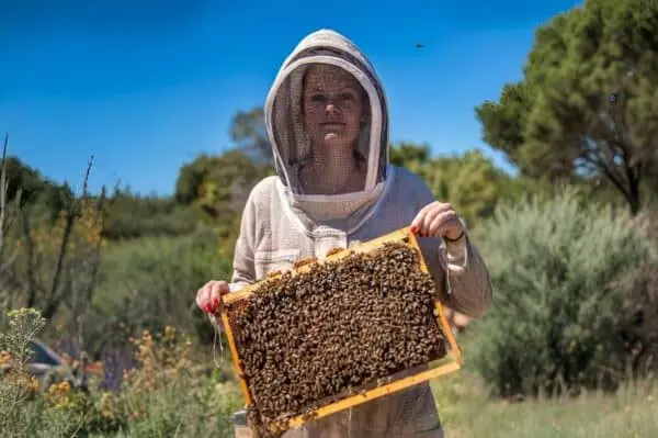 Charlotte Raymont La Fare apicultrice abeilles miel apiculteurs