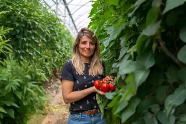 Camille Rabattu Graveson tomates Saint-Rémy