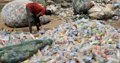 Vidéo. Le WWF installe un tapis roulant de déchets plastiques devant l'Office de l'ONU à Genève