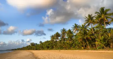 Polynésie française, Tahiti, Bora Bora, lagoon, beach, palm, coral, overwater, island