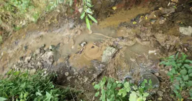 Vosges. Une pollution aux matières organiques constatée dans le ruisseau de la Belle Fontaine à Vittel