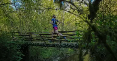 Votre été en Aveyron : au Pays du Roquefort, une expérience sensorielle grandeur nature pour découvrir un territoire qui se savoure