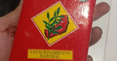 Yerba Mate