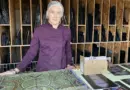 Yonne : dans les coulisses de la restauration des vitraux de l’église d'Aillant-sur-Tholon