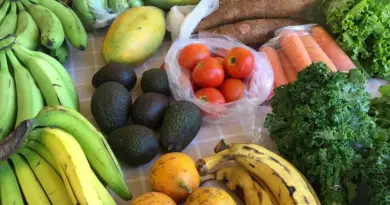 « Zéro risque chlordécone » en Guadeloupe : l'Etat mène des contrôles sur les ventes en bord de route