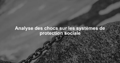 Analyse des chocs sur les systèmes de protection sociale