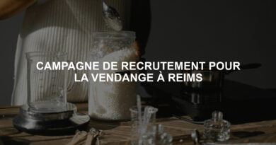 CAMPAGNE DE RECRUTEMENT POUR LA VENDANGE À REIMS