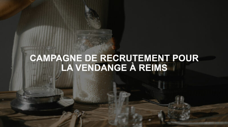 CAMPAGNE DE RECRUTEMENT POUR LA VENDANGE À REIMS