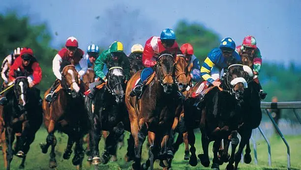 dimanche 17 aout Quinté à Deauville à 15h15 Sélection Hervé Fortin - ici
