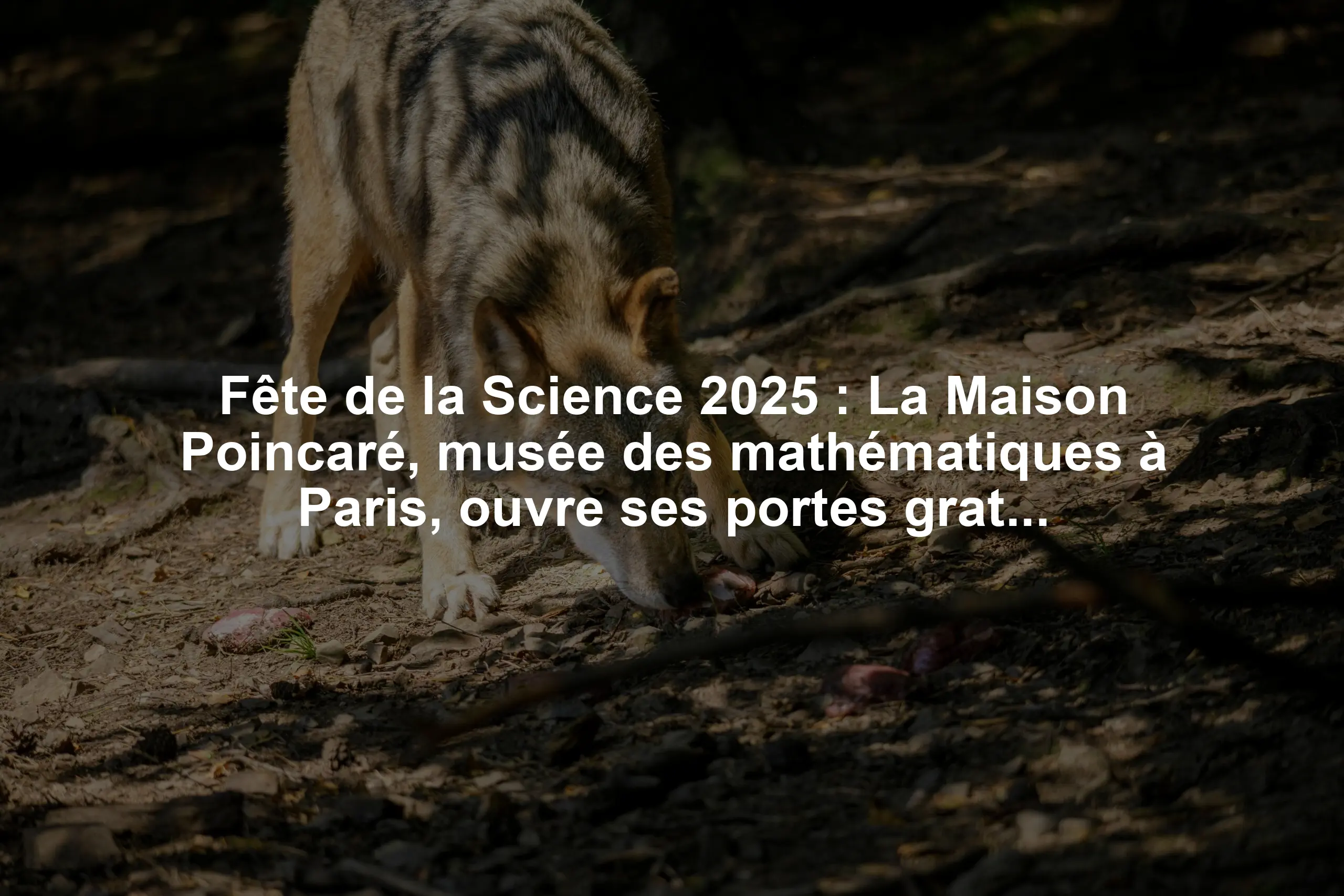 Fête de la Science 2025 : La Maison Poincaré, musée des mathématiques à Paris, ouvre ses portes gratuitement
