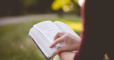 education,school,learning,student,teacher,classroom,university,books,knowledge,study