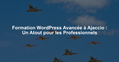 Formation WordPress Avancée à Ajaccio : Un Atout pour les Professionnels