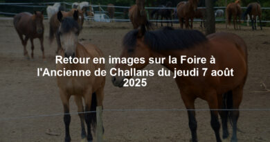 Retour en images sur la Foire à l'Ancienne de Challans du jeudi 7 août 2025