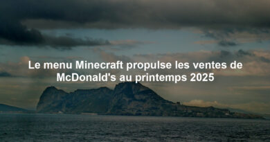 Le menu Minecraft propulse les ventes de McDonald's au printemps 2025