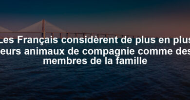 Les Français considèrent de plus en plus leurs animaux de compagnie comme des membres de la famille