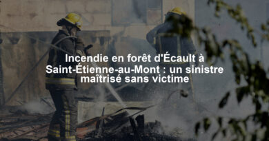Image illustrant le contenu de l’article.