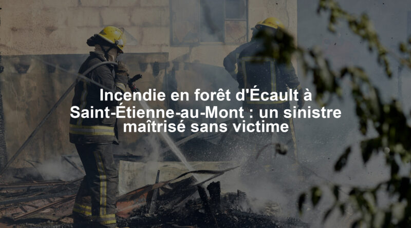 Image illustrant le contenu de l’article.