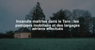 Incendie maîtrisé dans le Tarn : les pompiers mobilisés et des largages aériens effectués