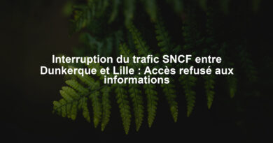 Interruption du trafic SNCF entre Dunkerque et Lille : Accès refusé aux informations