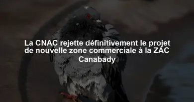 La CNAC rejette définitivement le projet de nouvelle zone commerciale à la ZAC Canabady