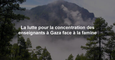 Image illustrant le contenu de l’article.