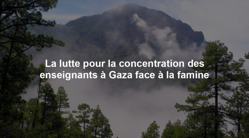 Image illustrant le contenu de l’article.