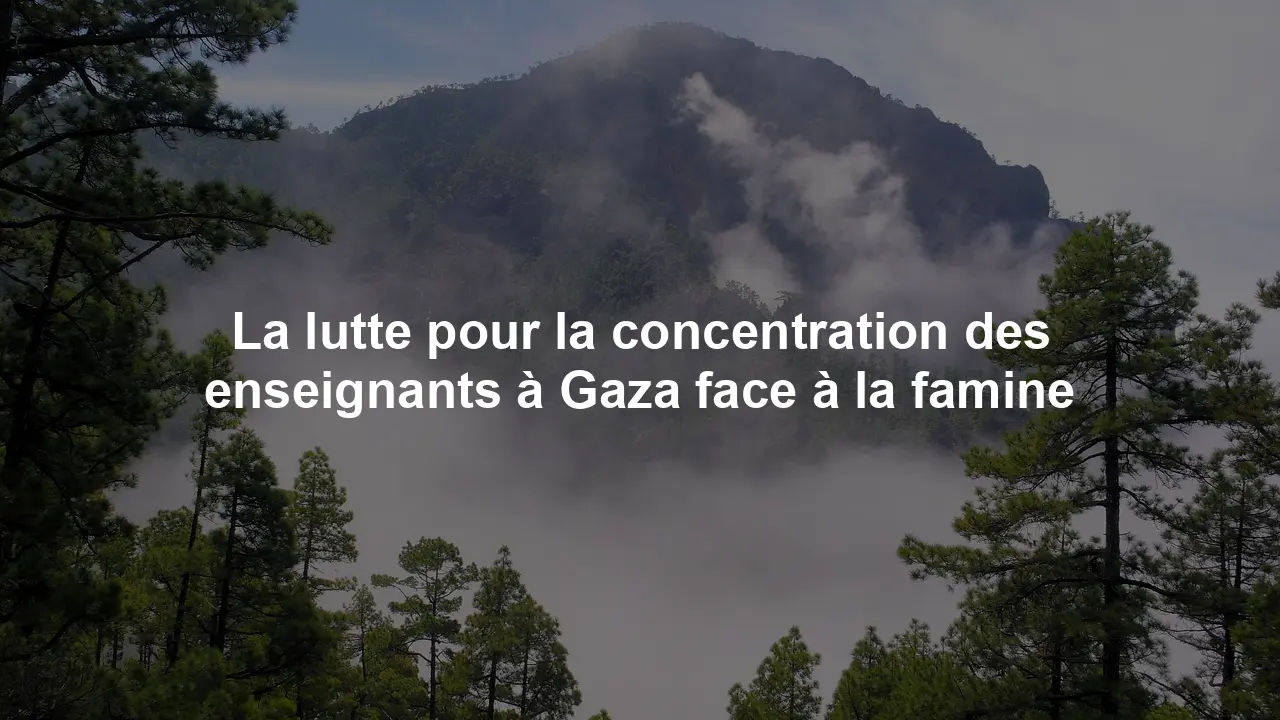 La lutte pour la concentration des enseignants à Gaza face à la famine