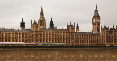 politics, government, parliament, election, voting, democracy, politician, president