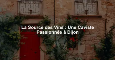 La Source des Vins : Une Caviste Passionnée à Dijon