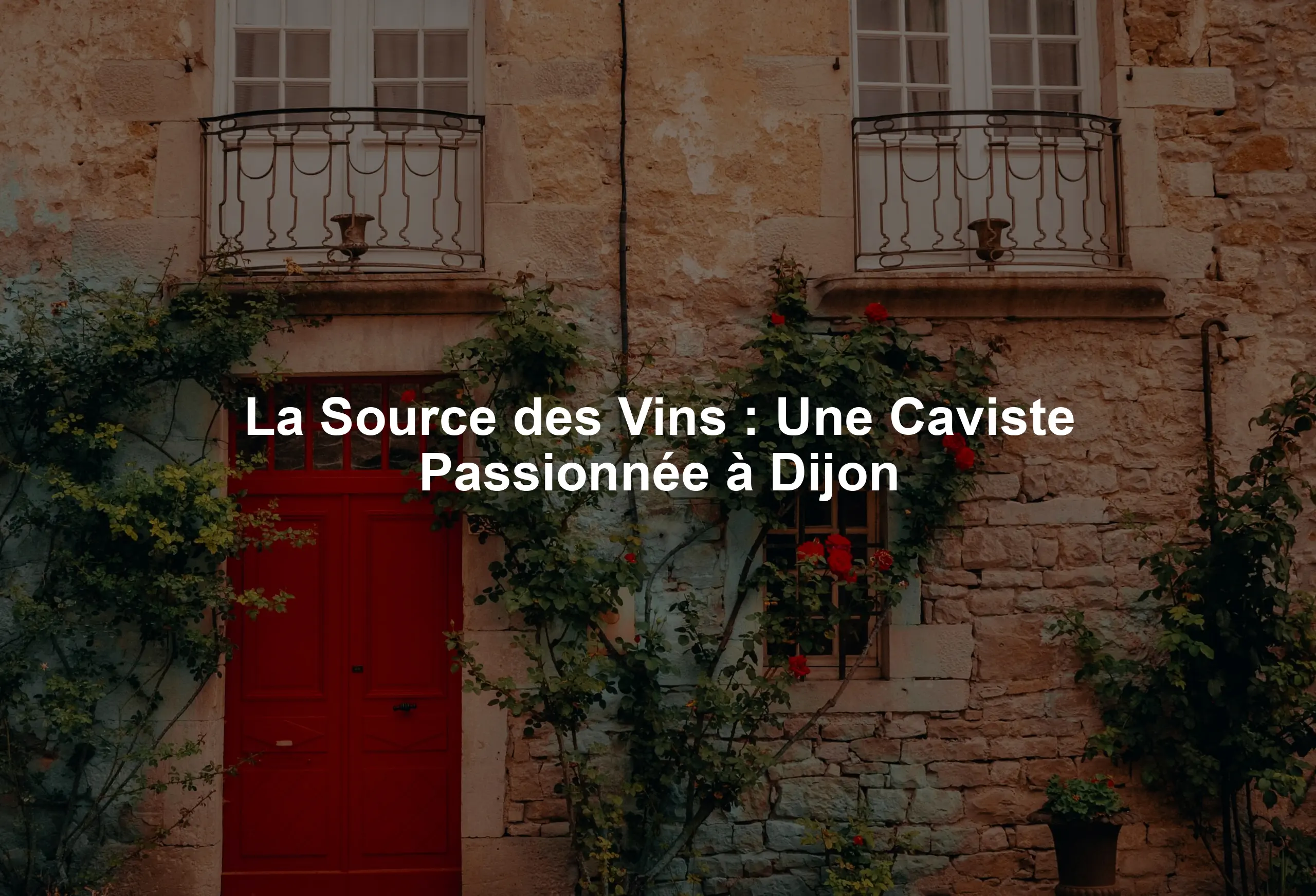 La Source des Vins : Une Caviste Passionnée à Dijon