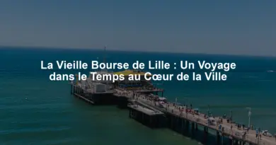 La Vieille Bourse de Lille : Un Voyage dans le Temps au Cœur de la Ville