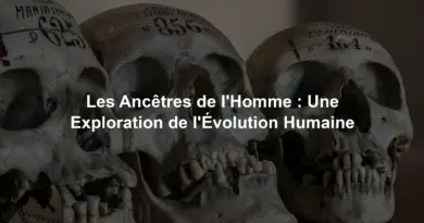 Les Ancêtres de l'Homme : Une Exploration de l'Évolution Humaine