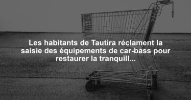 Les habitants de Tautira réclament la saisie des équipements de car-bass pour restaurer la tranquillité