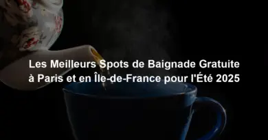 Les Meilleurs Spots de Baignade Gratuite à Paris et en Île-de-France pour l'Été 2025