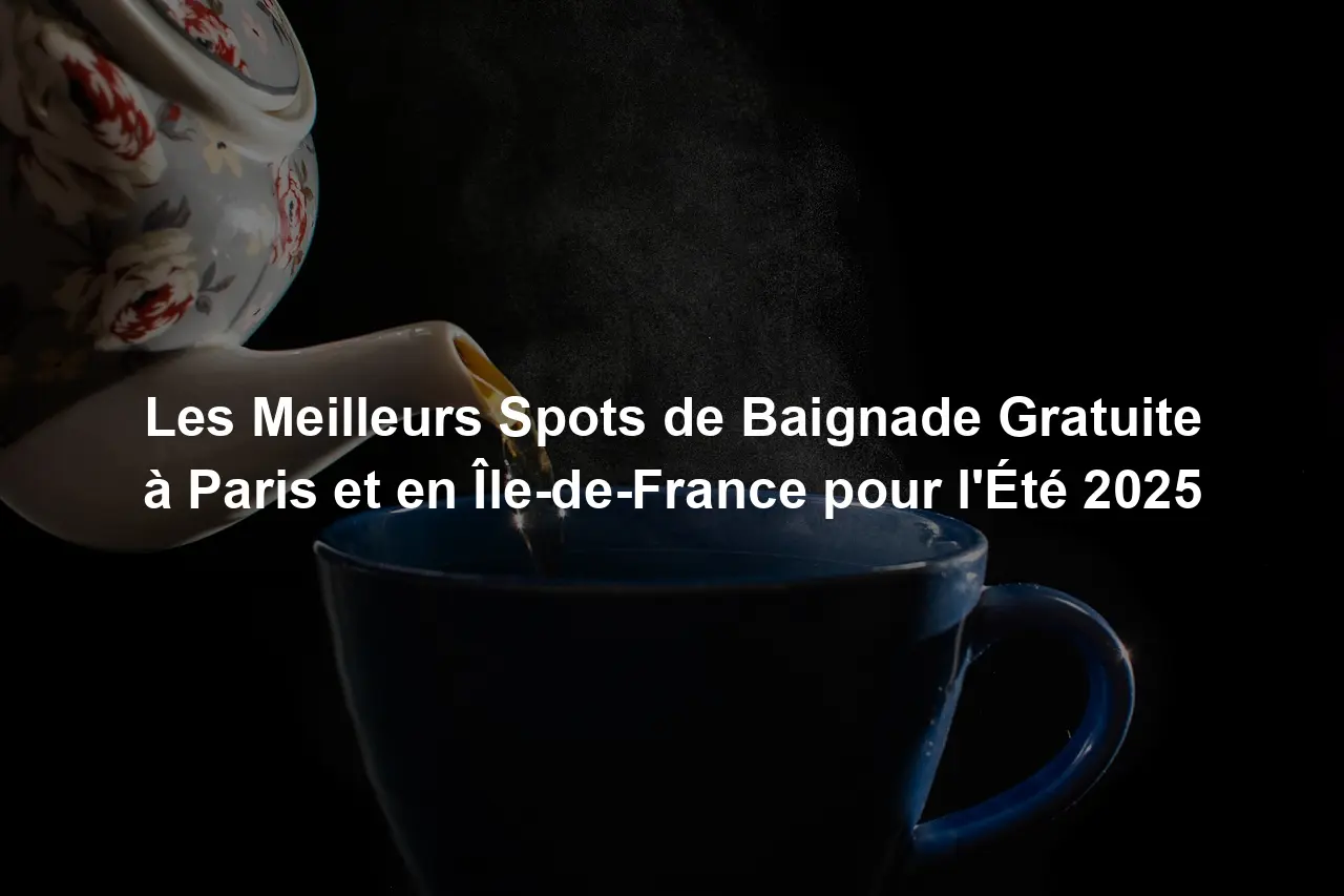 Les Meilleurs Spots de Baignade Gratuite à Paris et en Île-de-France pour l'Été 2025