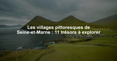 Les villages pittoresques de Seine-et-Marne : 11 trésors à explorer